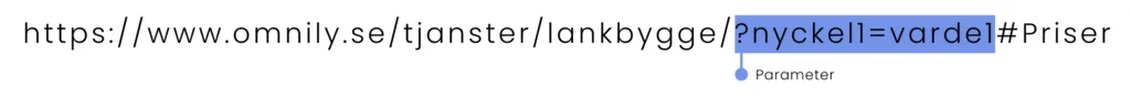 URL parameter URL parameter