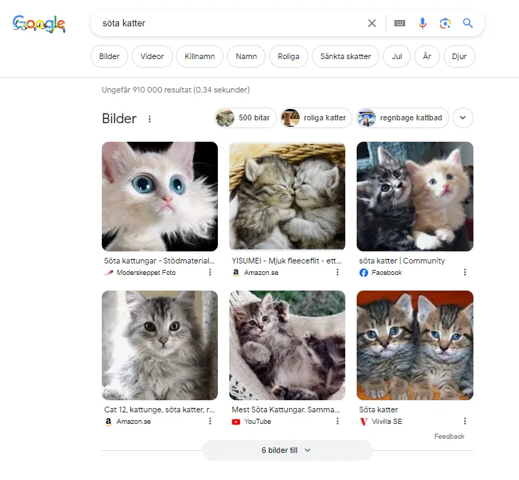 Bildresultat SERP Bildresultat SERP