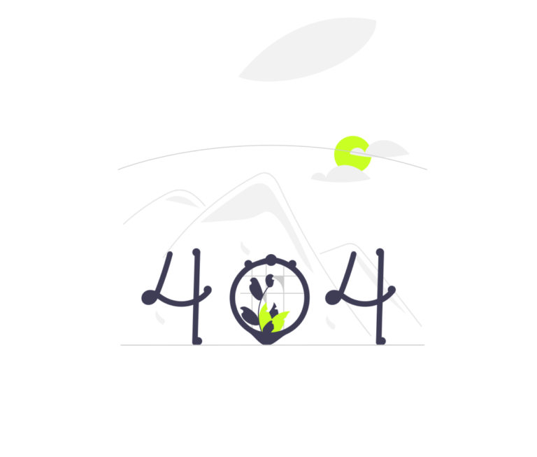 404 Sida SEO